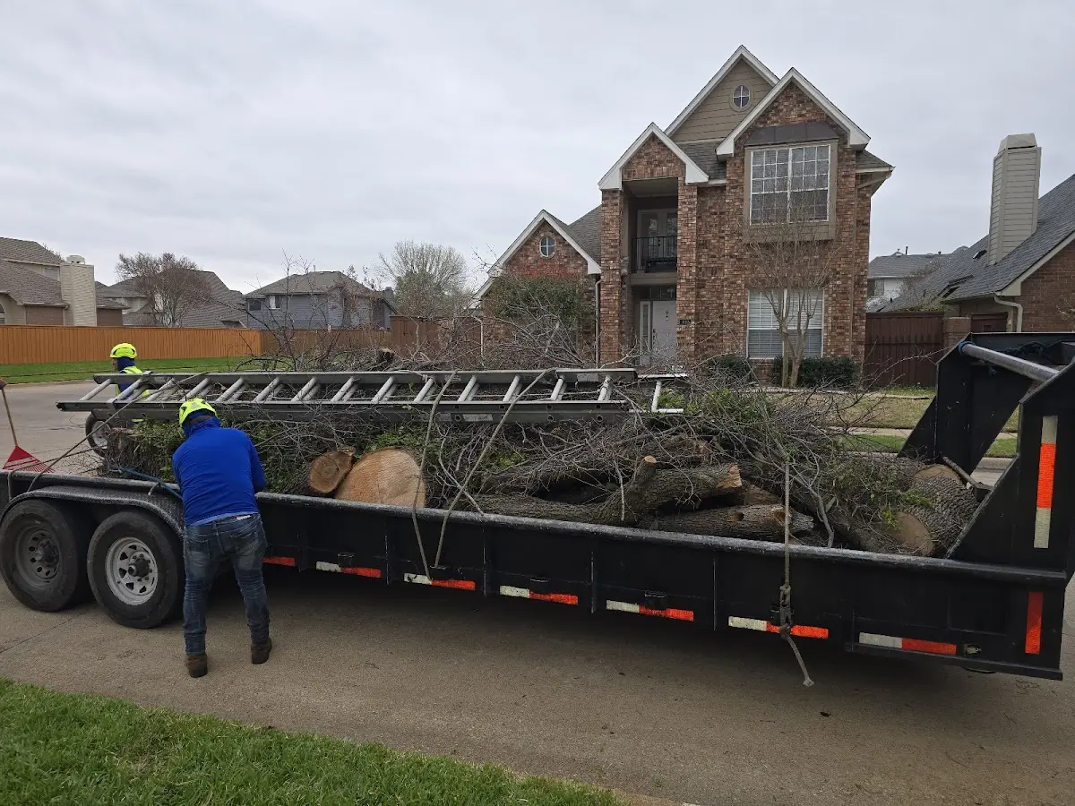 Expert Tree Pest Control with proper safety equipment in New Alexandria